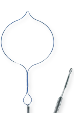 Endoloop y Pinza