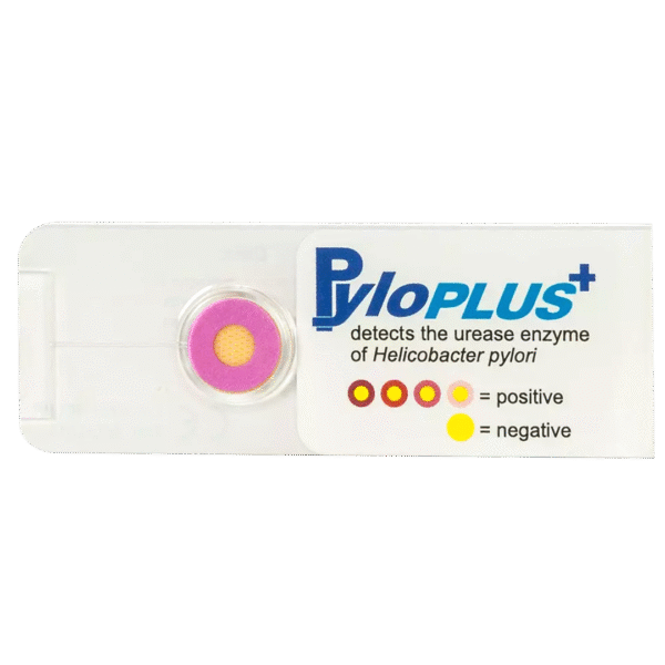 PyloPLUS+